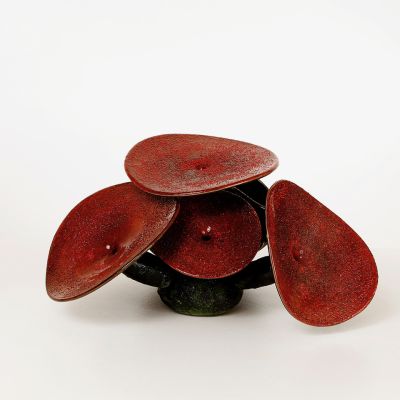 Jonas Rooth, Svampobjekt,    Naturen har alltid haft en plats hos mig. Den innehåller skönheten, något som vi lätt känner igen men som ofta kan vara svårt att förklara. Naturen har mitt i sin skönhet enförmåga att framstå som hotfull och farlig. Mina arbeten vill fånga det komplexa och slumpartade hos naturen samt nyttjar glasets förmåga att gestalta tyngd och rörelse.    Förhållningssättet till mitt arbete har alltid grundat sig på en lust för färg och form och en stark vilja att se hur långt jag kan sträcka mina uttryck. Har alltid fascinerats av det komplexa och repetitiva, både hos det jag finner i naturen och i det som människan har skapat. I glaset har jag funnit en unik bärare av färg och form. För mig är både det intuitiva och spontana arbetet i hyttan lika viktigt och roligt som det koncentrerade  och planerade arbetet med slipning och montering efteråt.    Jonas Rooth