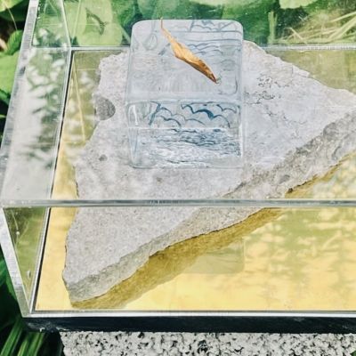 Jeanette Karsten ” Joy of life” , with golden leaf’ Fågeln kommer med den lilla kvisten som gåva som symbol för hopp, fred, lycka, glädje och vänskap. Symbol ovansida- Material: Gjutet glas, håndmåleri, gravyr, metall Podie: oregelbunden kalksten från Burgsvik på Gotland Mått: ca 20 cm x 10 cm. Höjd 2 cm. Teknik: Hyttformat glas med handgraverat m. färg.  Signerad Jeanette karsten unik